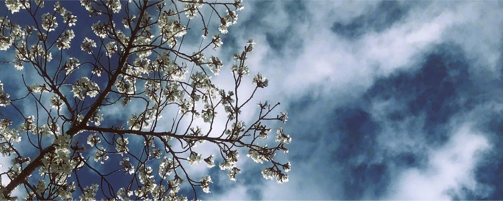 メインビジュアル